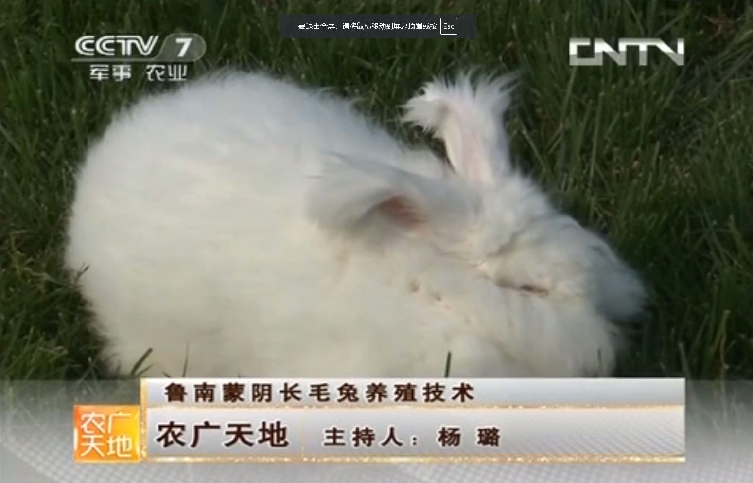 [农广天地]鲁南蒙阴长毛兔养殖技术(20130514)
